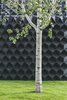 Just like smaller-scale printing projects, DUS's extra-large designs are created by depositing a material layer by layer.
Photo: Sophia van den Hoek Photo of Book a Stay in This 3D-Printed Tiny House modern home