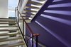 Modern home with Staircase, Wood Tread, Wood Railing, Cable Railing, and Metal Railing. Architect Greg Wiedmann’s Modern Farm House residence Photo 7 of Modern Farm House