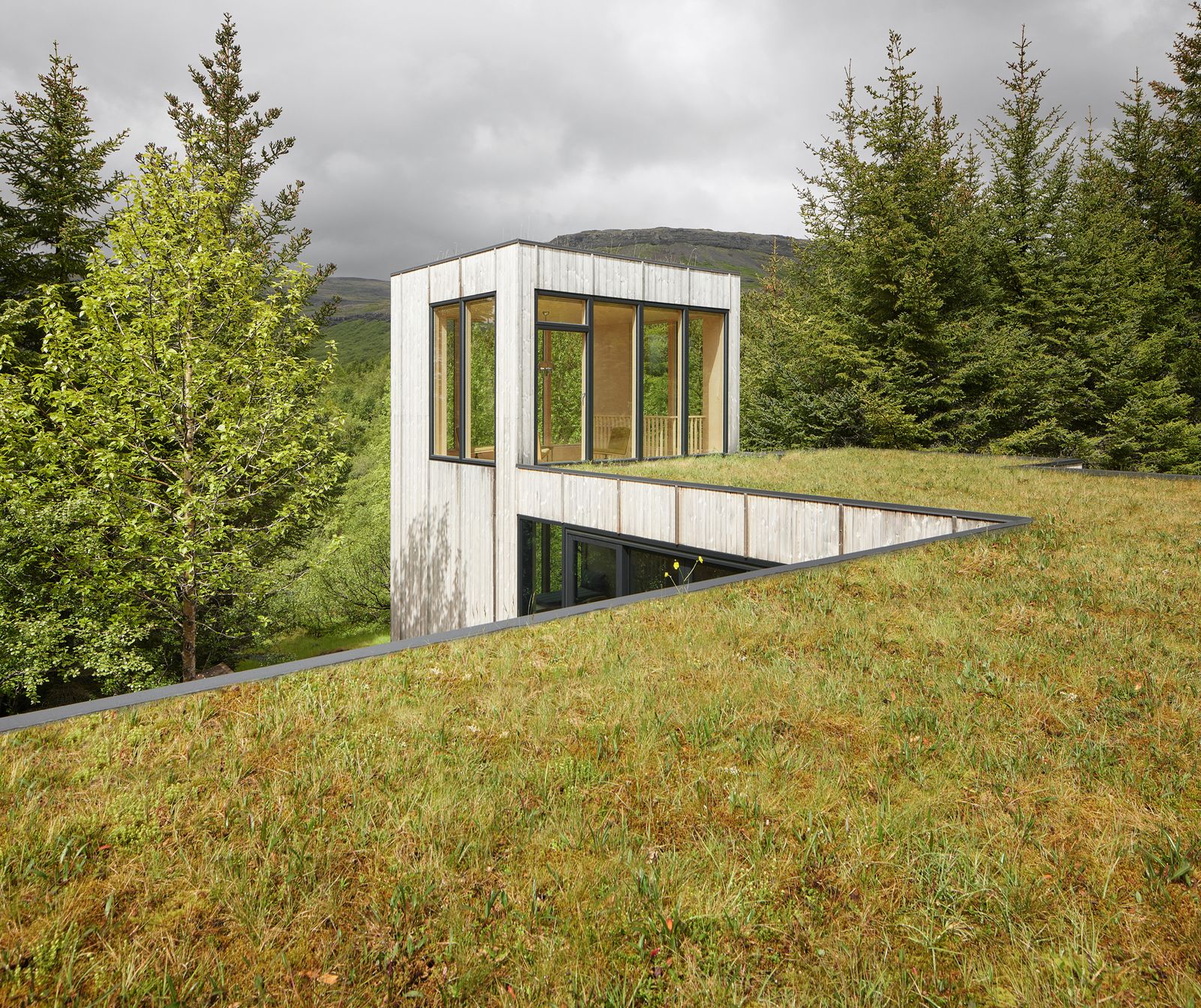 "The roof, covered in vegetation from the forest floor, helps maintain the clearing's authentic appearance and integrates the building into its environment,