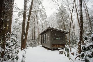 Budget Breakdown: Their Dream Home Can Come Later—First, They Built a Tiny Cabin for $40K