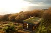The green roof blends this small home into the gentle slope of the five-acre lot, sheltering it from the wind while showcasing the spectacular view once inside. Photo of Eagle Point modern home
