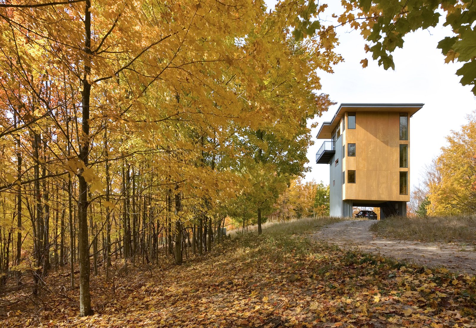 Two fin-like, metal-clad walls rise from the crown of the hill to support a three-story plywood box suspended a full story above grade.