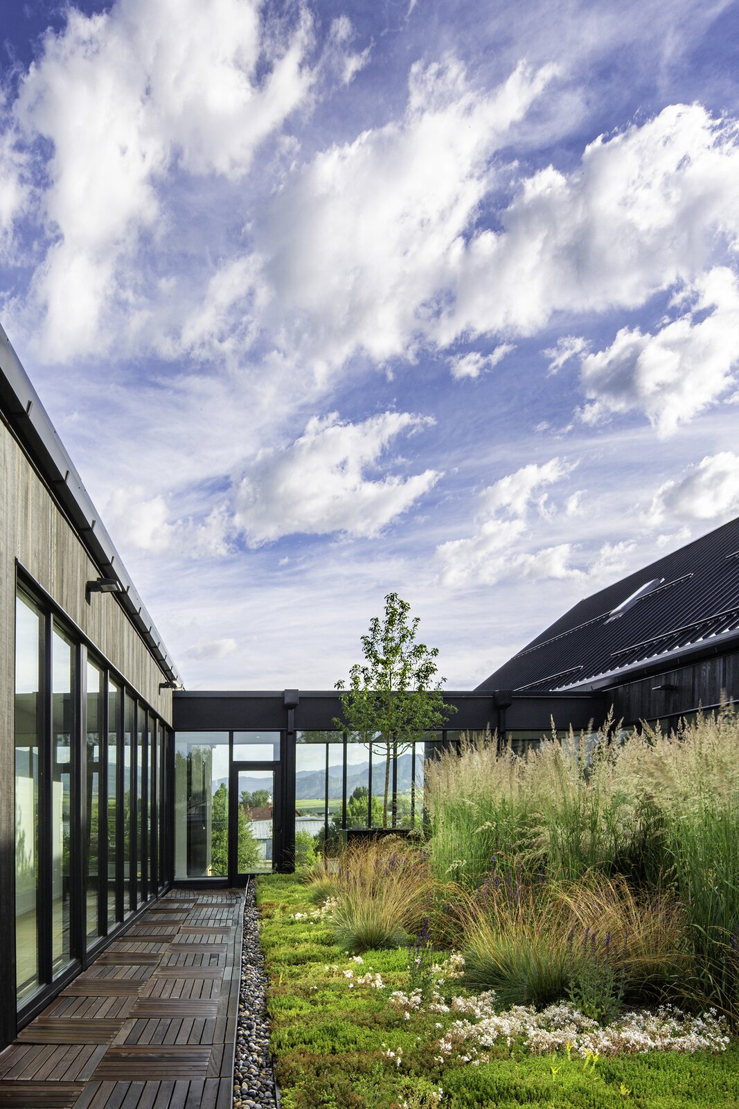 Flanked by a horseshoe-shaped corridor, the open-air courtyard features dramatic views of Mount Blackmore to the south. In the summer, the mature vegetation shades the glass, and in the winter, the corridor is heated as the courtyard fills with snow.