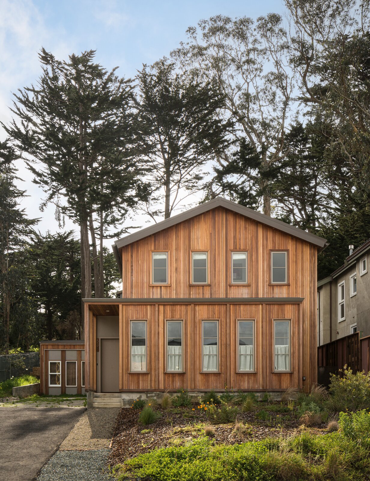 A row of mature cypress trees from a neighboring property  frame views of Moshe and Adanya's house from the street.