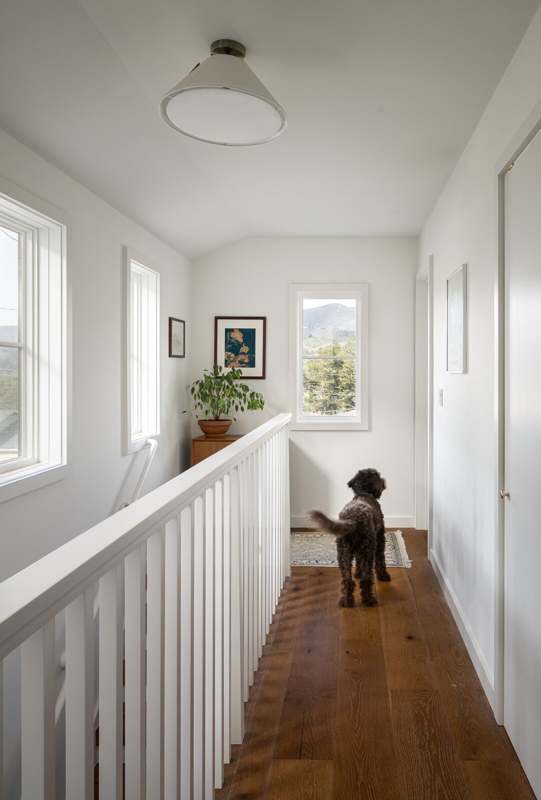 The family dog, Georgie, stands atop oak upstairs flooring.