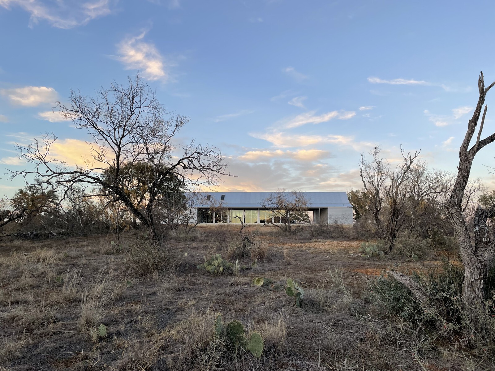 The Shed/House sits atop a small hillside, part of a property the Redington family is restoring with native vegetation.