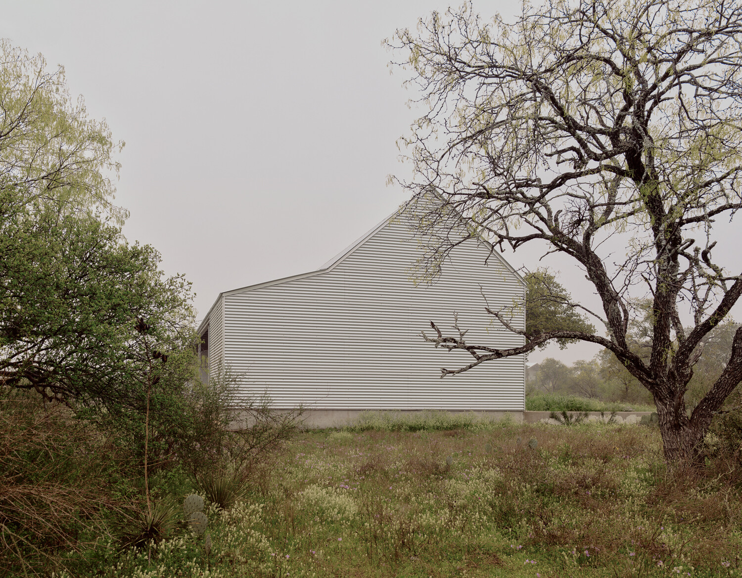 Entering the property by car, one first encounters the blank wall of the home's storage shed, evoking the Texas sheds and barns Redington loves.