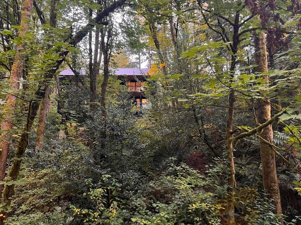 Before construction, Zoé spent two years overcoming regulatory hurdles related to the property's wildlife habitat and existing trees.