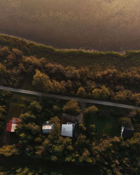Though the cabin (third from the left) is somewhat close to other houses, its setting feels secluded thanks to the preponderance of trees on the site.