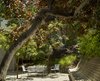 Modern home with Outdoor, Slope, Front Yard, Hardscapes, Side Yard, Trees, Grass, and Garden. Potrero Residence Garden Photo 10 of Potrero House