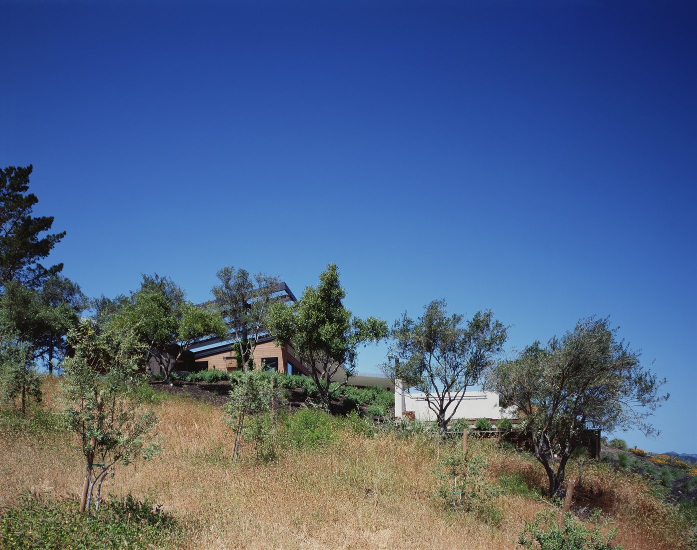 Photo 14 of 16 in Ridge House by Cary Bernstein Architect Dwell
