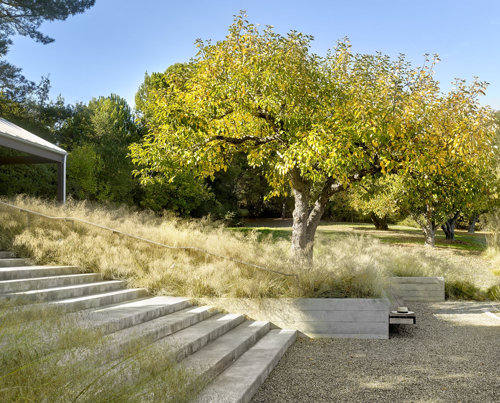 Photo 5 of 14 in Orchard House by Cary Bernstein Architect Dwell