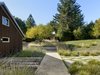 Modern home with Outdoor, Grass, Salt Water Pools, Tubs, Shower, Lap Pools, Tubs, Shower, Back Yard, Large Pools, Tubs, Shower, Hardscapes, Concrete Fences, Wall, Woodland, Vertical Fences, Wall, Landscape Lighting, Large Patio, Porch, Deck, Decomposed Granite Patio, Porch, Deck, and Wood Patio, Porch, Deck. Orchard House + Carport Photo 14 of Orchard House
