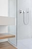 Detail Bath1 Photo 15 of Two-Way House modern home