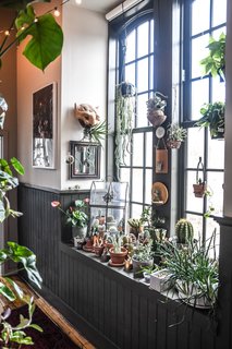 Succulents and cacti fill a sun-drenched nook in the hallway.