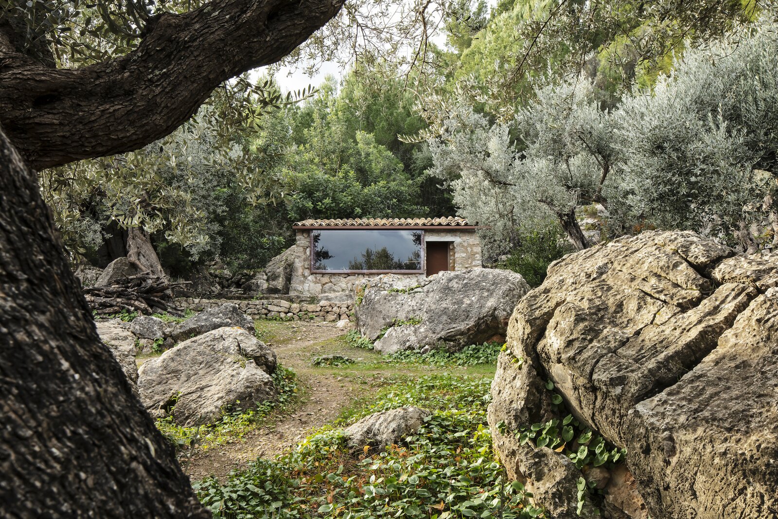 Olive Houses