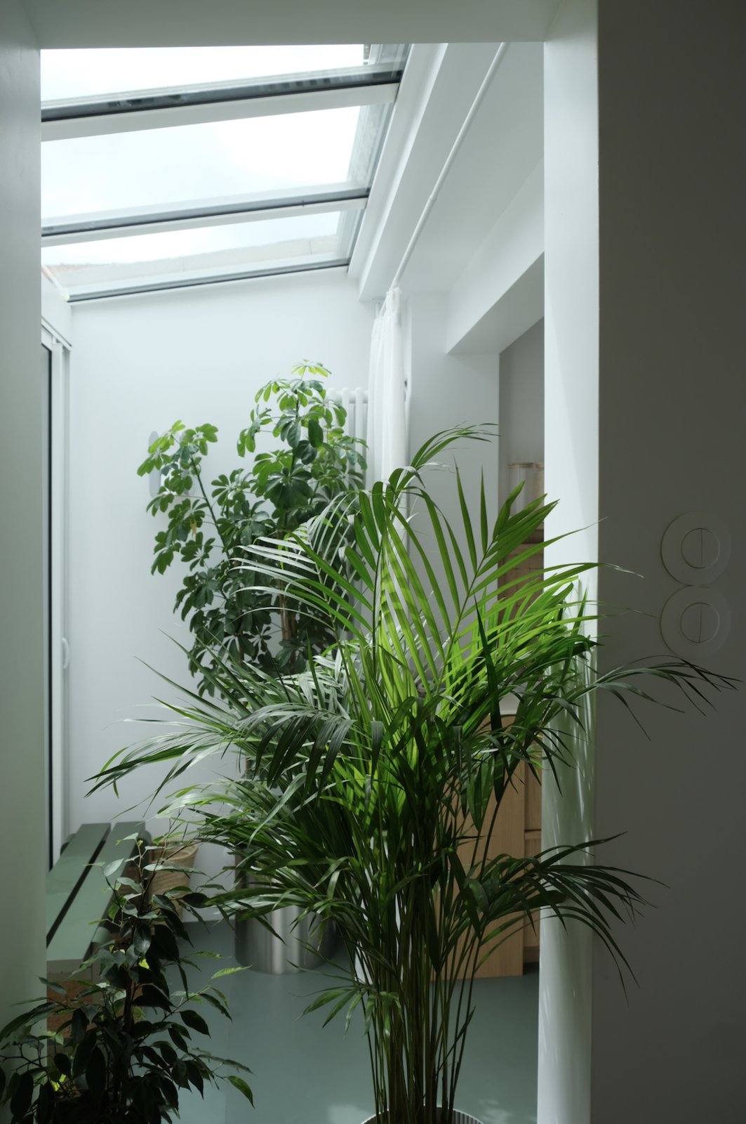 The architects replaced a traditional wall with a glass extension that floods the kitchen with natural light.