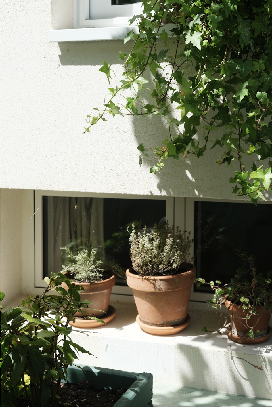 Lekien and Nicoulaud placed as many plants as possible on the exterior and throughout the interior.