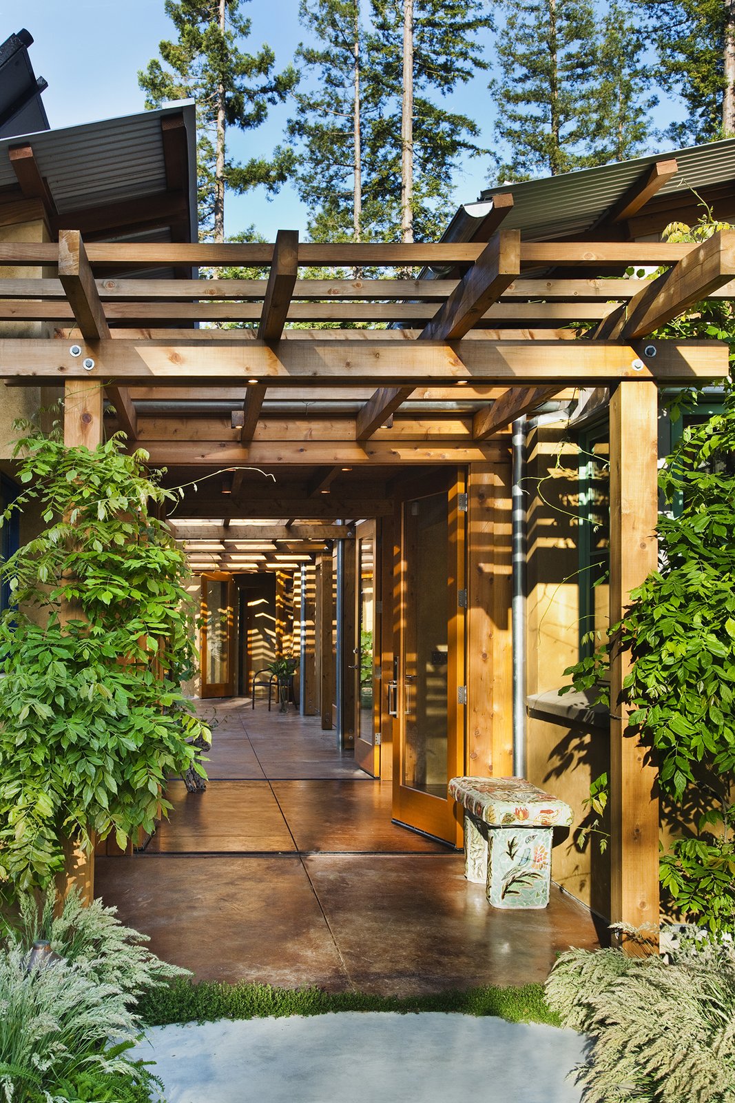 The entry opens directly out to the courtyard beyond - stained concrete floors move in and out of the space, creating a sense of continuity.