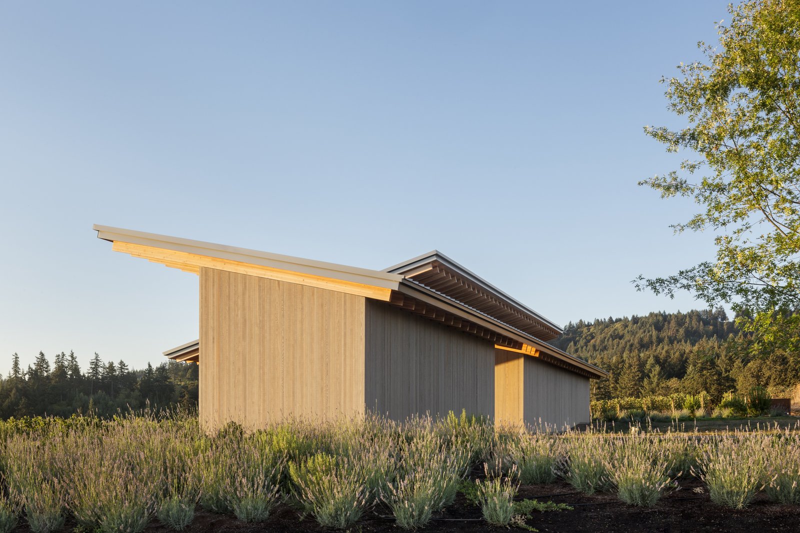 Photo 5 of 28 in 10 West Coast Wineries With Architecture as Noteworthy ...