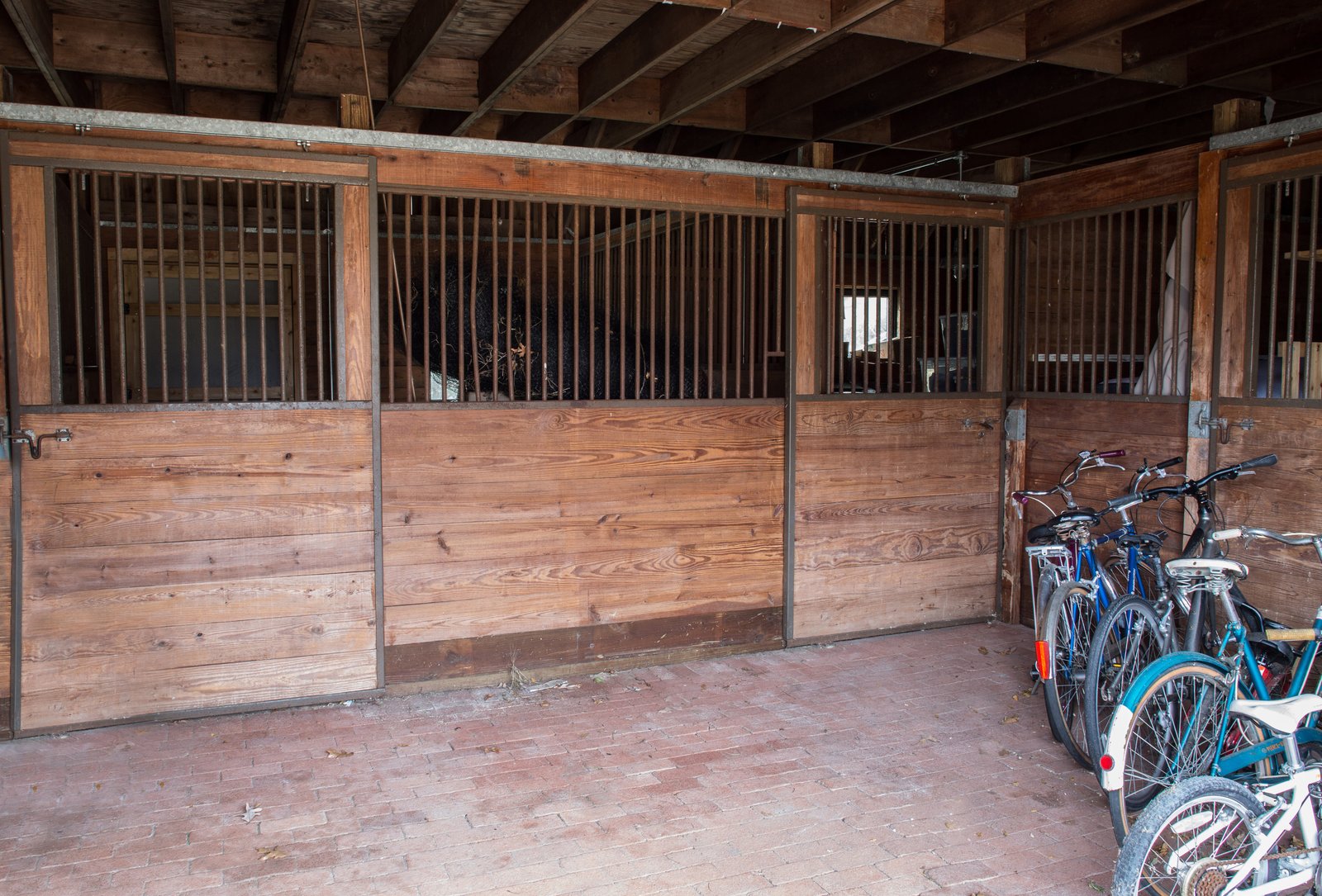 The barn could conceivably be transformed into a studio space.