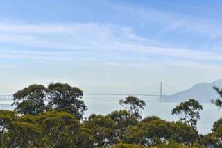 Beautiful bridge views. 