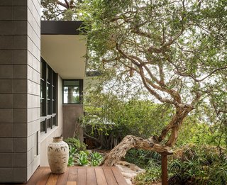 The exterior is surrounded by lush greenery. 