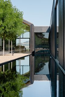 The mix of wood and steel references the construction of a wine barrel. A long rectangular reflecting pool runs the length of the tasting room.