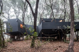 Exterior, House Building Type, Wood Siding Material, and Flat RoofLine Family retreat in Northern California.