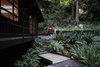 Bridge Photo 19 of Cypress Falls modern home