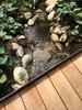 Modern home with Outdoor, Metal Fences, Wall, Hardscapes, Gardens, Shrubs, Boulders, Back Yard, and Wood Fences, Wall. Bridge Detail Photo 11 of Cypress Falls
