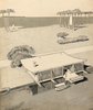 Paul Rudolph Photo of Surf Shacks modern home