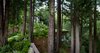 Modern home with Outdoor. Mill Valley Cabins Photo of Mill Valley Cabins