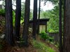 Modern home with Exterior, Wood Siding Material, Green Roof Material, Cabin Building Type, House Building Type, and Curved RoofLine. The green-roofed studio was reinforced to support the weight of wet soils.
Photo 17 of Mill Valley Cabins