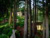 Modern home with Outdoor, Walkways, Trees, Gardens, and Woodland. The steep slope necessitated careful attention to waterproofing and drainage.
Photo 19 of Mill Valley Cabins