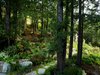 Mill Valley Cabins Photo 18 of Mill Valley Cabins modern home
