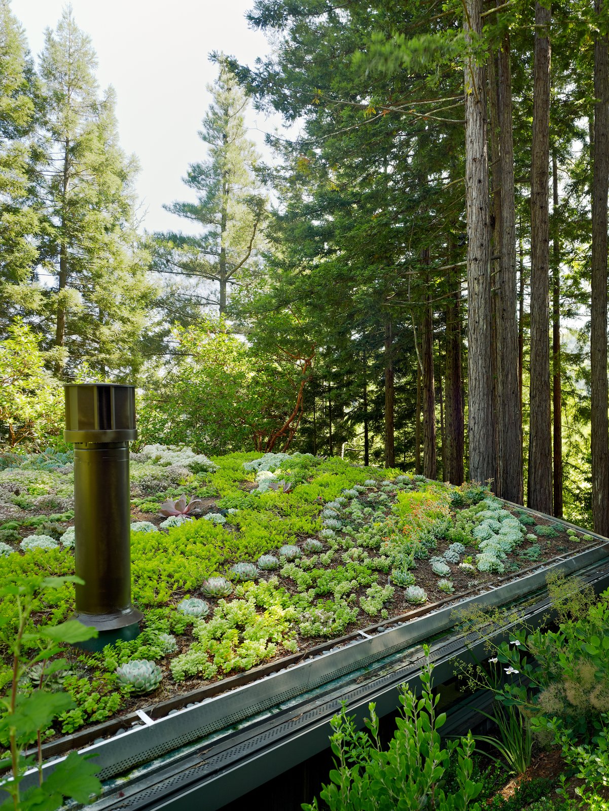Photo 14 of 19 in Mill Valley Cabins by Feldman Architecture - Dwell
