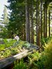 Modern home with Outdoor, Gardens, Rooftop, Trees, Garden, and Shrubs. The accessible green roof on the yoga studio provides additional landscape for gardening.
Photo 13 of Mill Valley Cabins