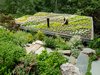 Modern home with Outdoor, Walkways, Gardens, Garden, Rooftop, and Trees. River-rock ballast was installed around the perimeter of the green roof.
Photo 11 of Mill Valley Cabins