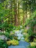 Modern home with Outdoor, Walkways, Gardens, Woodland, Trees, and Garden. A winding path connects the two south-facing structures.
Photo 3 of Mill Valley Cabins