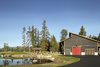 Modern home with Outdoor, Back Yard, Woodland, and Trees. The outdoor arena is currently paved for vehicle storage, but it can be retrofitted to become a working riding ring. Photo 10 of 534 Twin Bridges Road