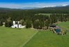 Modern home with Outdoor, Trees, Woodland, Grass, and Back Yard. With easy access to the Whitefish Mountain Resort and Glacier National Park, the home offers plenty to explore—on the grounds and off. Photo 11 of 534 Twin Bridges Road