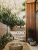 Modern home with Outdoor, Front Yard, Desert, Raised Planters, Stone Patio, Porch, Deck, Decomposed Granite Patio, Porch, Deck, and Shrubs. View from the office courtyard to the entry courtyard that features a custom concrete bench Photo 15 of Curves House