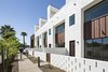 Modern home with Outdoor, Front Yard, Trees, Desert, Shrubs, Flowers, Hardscapes, Horizontal Fences, Wall, Concrete Patio, Porch, Deck, and Decomposed Granite Patio, Porch, Deck. Each unit in this development is accessed by a pedestrian walkway through a private courtyard. The low, spaced concrete block wall provides a social component to the development Photo 2 of Uptown Row