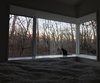 Modern home with Bedroom. Master bedroom -new custom wraparound window seat Photo 6 of Mid-Century Life Crisis