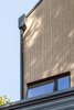 Modern home with Exterior, Wood Siding Material, and House Building Type. Cedar siding Photo 6 of Contemporary Home With Chef's Kitchen