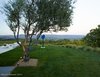 Modern home with Outdoor, Grass, Trees, Shrubs, and Back Yard. landscape Photo 11 of The Birdhouse