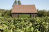Modern home with Outdoor, Metal Fences, Wall, Back Yard, Grass, Vegetables, Gardens, Walkways, and Wood Fences, Wall. Napa Valley barn in vineyard Photo 3 of Napa Vineyard Barn