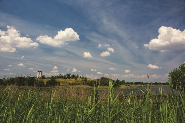Freshkills Park