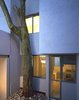 Salvaged tree at kitchen entry Photo 13 of Casa Lila modern home